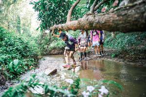 BIB: 
                            <button type="button" onclick="openModal(25517185)" class="btn btn-primary btn-sm float-right btn-popup" data-toggle="modal" data-target=".modal-high-quality">
                        <i class="fas fa-shopping-cart"></i> Add to Cart
                    </button>
                                            <button type="button" onclick="isThisMe(25517185, true)" class="btn btn-success btn-sm float-right btn-popup btn-isme hidden" data-toggle="tooltip" data-placement="bottom" title="นี่คือรูปของคุณใช่ไหม คลิกที่นี่เพื่อเอาเข้าอัลบั้ม">
                        <i class="fas fa-plus"></i> Add to album
                    </button>
                    <button type="button" onclick="isThisMe(25517185, false)" class="btn btn-warning btn-sm float-right btn-popup btn-isnotme hidden">
                        <i class="fas fa-ban"></i> Remove from album
                    </button>